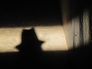 gang-stalker-shadow-hat